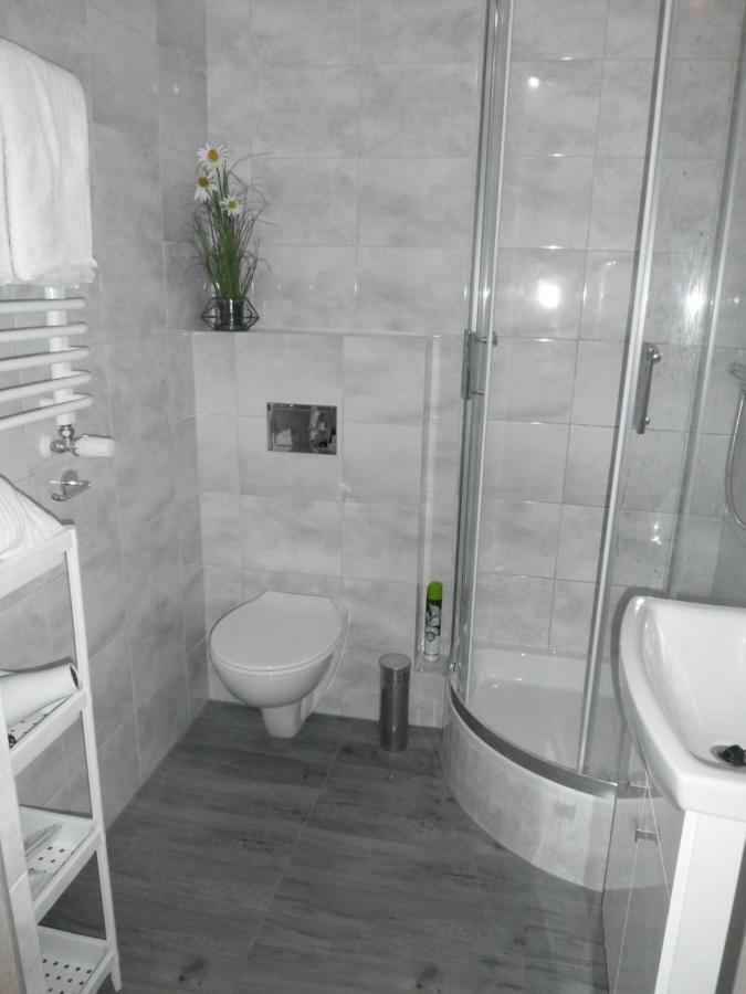 Ares Apartments プシェムィシル エクステリア 写真